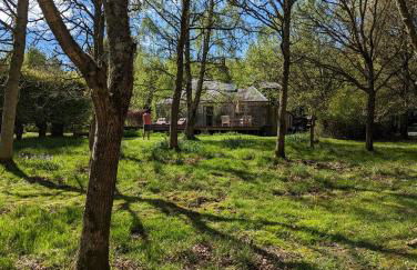 Birkenside Cottage - Foto 3