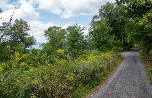 Overlook Cabin Hot Tub, Amazing Views, Fireplace - Foto 26