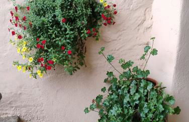 Casa Patron - Grande casa immersa nella natura della Valchiusella, vista montagna, perfetta per famiglie e gruppi a 1 ora da Torino - Foto 6