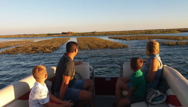 Profiter de la balade en bateau sur la Ria Formosa