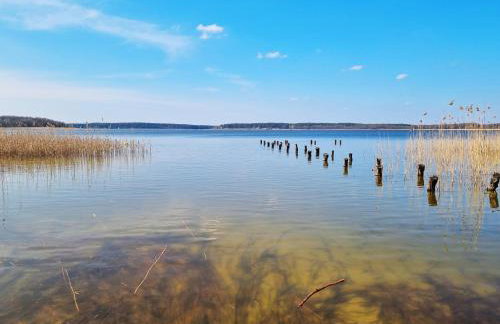 Ostoja Wycinki domki letniskowe - Foto 9