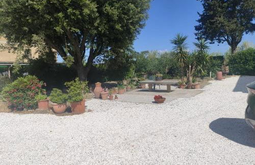 Il Leccio Agriturismo - Foto 35