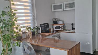 Hôte Stéphanois Studio & parking - Foto 4