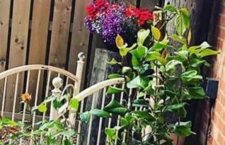 Lincoln Holiday Retreat Lodge with Private Hot Tub - Foto 33