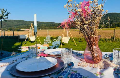 Lawendowy Raj - Foto 69