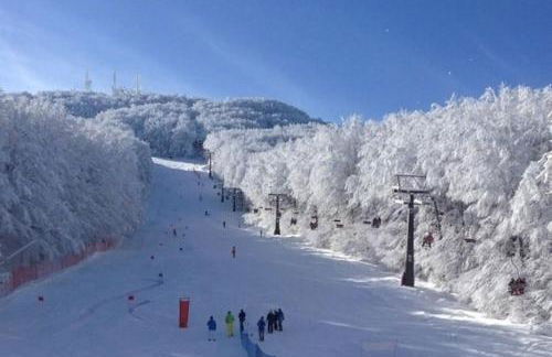 Casa del castorino - Foto 57