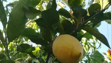 La casa di Gerry - Foto 5