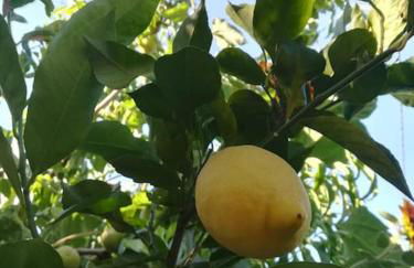 La casa di Gerry - Foto 5