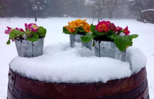 Marina's Stone Cottage - Foto 41