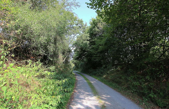 Riverside Mansion Retreat - Foto 26