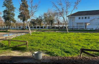 Lincea Home I Casa completa en el corazón de El Rocío - Foto 28