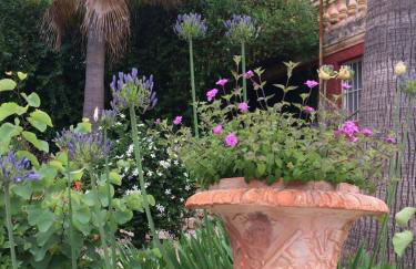 Casa de las Vistas - Photo 42