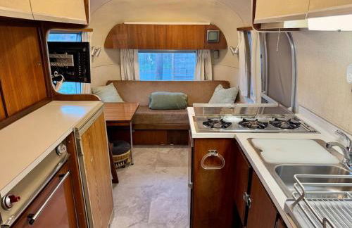 Secluded Private Retreat with Cabin & Vintage Airstream - Foto 12