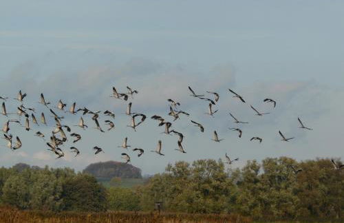 Appartement auf Rügen - Foto 60