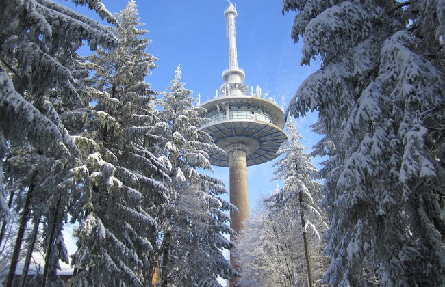 Large Holiday Home in Battenhausen With Garden - Foto 29