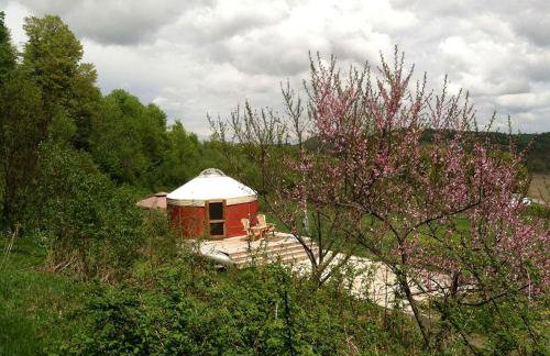 Modern Countryside Yurt Rental in Waterville, Upstate New York - Foto 17