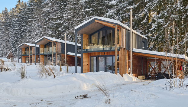 Luxe Timber Lodge & Pet Retreat - Foto 2, House