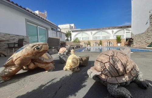 TENERIFE LITTLE VILLAGE - Foto 12