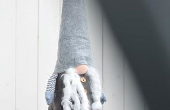 Schwarzwald Lahr Europapark Penthouse Sunshine - Foto 41