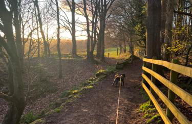Sunny Hill Cottage Milford with fabulous views near Belper Duffield - Foto 65