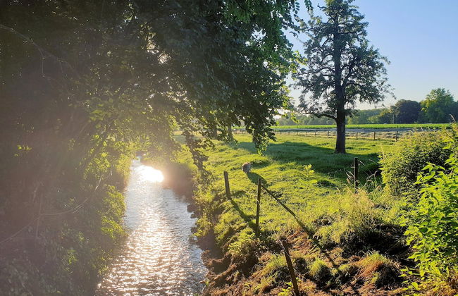 Located Near Maastricht Towards the Belgium Border - Foto 66