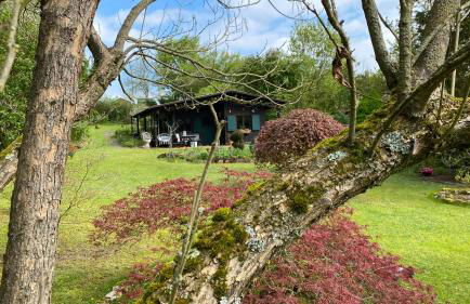 My Happy Garden 1500sq m - Foto 55