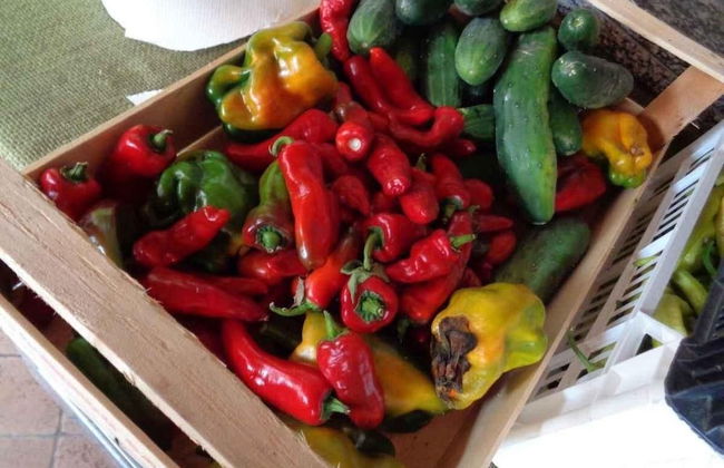 Agriturismo Scuderia Castello - Foto 44