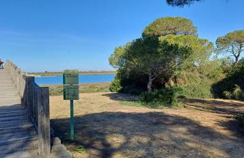 Apartamento Las Olas de Valdelagrana - Foto 24