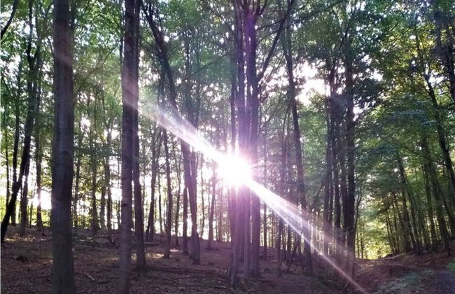 Holiday Apartment Lohr-drewes 2 - Foto 13