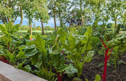 New traditional village house - Foto 27