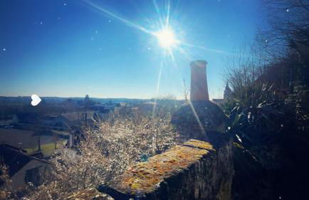 "Ninho de Amor" troglodyte unique - Foto 8