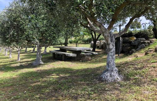 La casa nell'oliveto - Foto 9