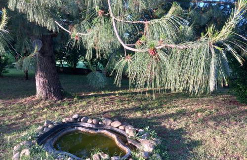 La Casa di Gio ed Eli - Foto 78