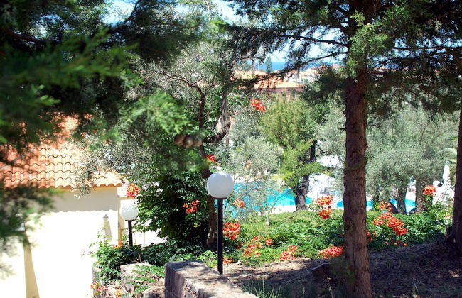 LASSIA STUDIOS - Foto 22