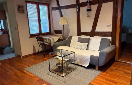 AUX DEUX CIGOGNES AMMERSCHWIHR - Foto 7