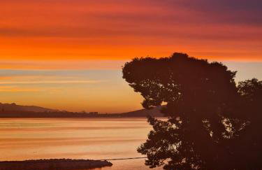 Apartments Bogic - Photo 45