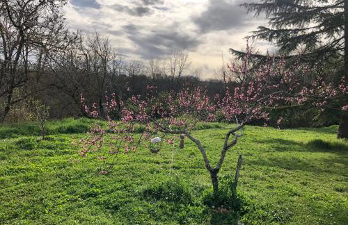 Le Merlat Gite - Foto 32