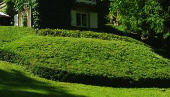 CLASSIC DRIVER HOME 2 - Foto 2