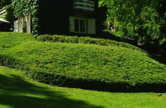 CLASSIC DRIVER HOME 2 - Foto 2