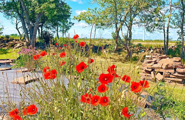 5 Star Holiday Home in Borgholm - Foto 19
