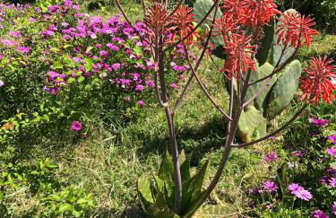 Maison de Charme Classée 3 étoiles - Calme, Jardin, Salle de Sport, Piscine - Foto 27