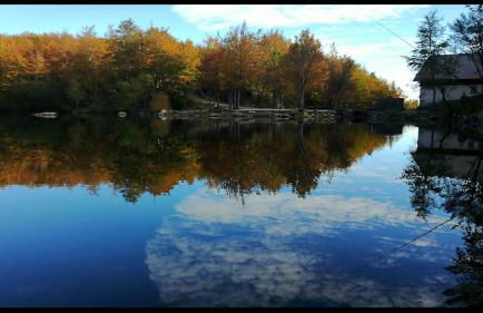 Appartamento Il Bosco Incantato - Foto 39