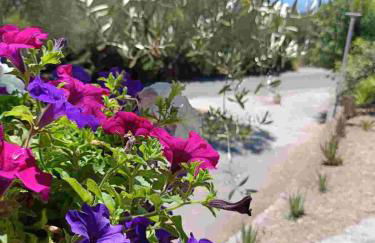 Petrus Cilento Rooms - Foto 37