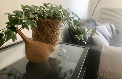 Appartement Coeur de Ville Cathédrale - Ascenseur - - Foto 8