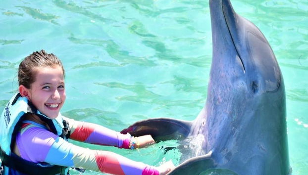 Delfin Schwimm-Abenteuer in Grand Sirenis Akumal-Tulum - Foto 3