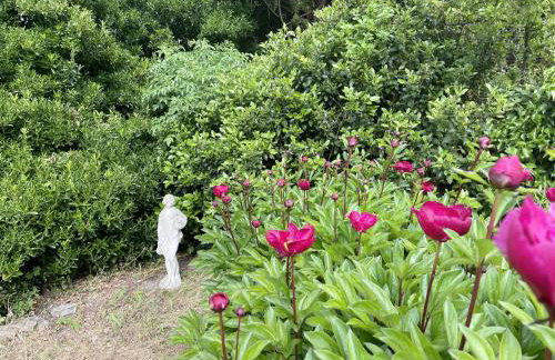 Welcome to Hazelwood, The Mount Somerton Apartment - modern and fully equipped, Private off-street parking, Near Glastonbury Tor, The spectacular Wells Cathedral, Stourhead, Sherborne Abbey, Millfield School, Clark's Village - Foto 43