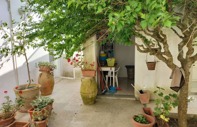 Guest House Salentojoy - Foto 15