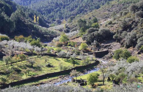 Casa Zambrana - Foto 14