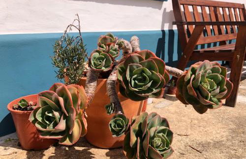 Casa Anneli - relaxing under the olive tree - Foto 32