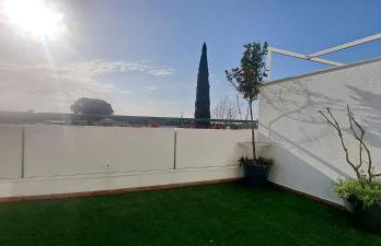 Olivar de Gines a un paso de Sevilla - Foto 2